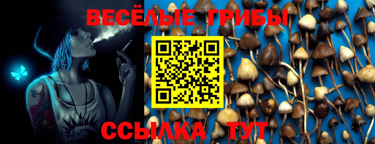 Октябрьский  Псилоцибиновые грибы Cubensis  Вход с VPN 